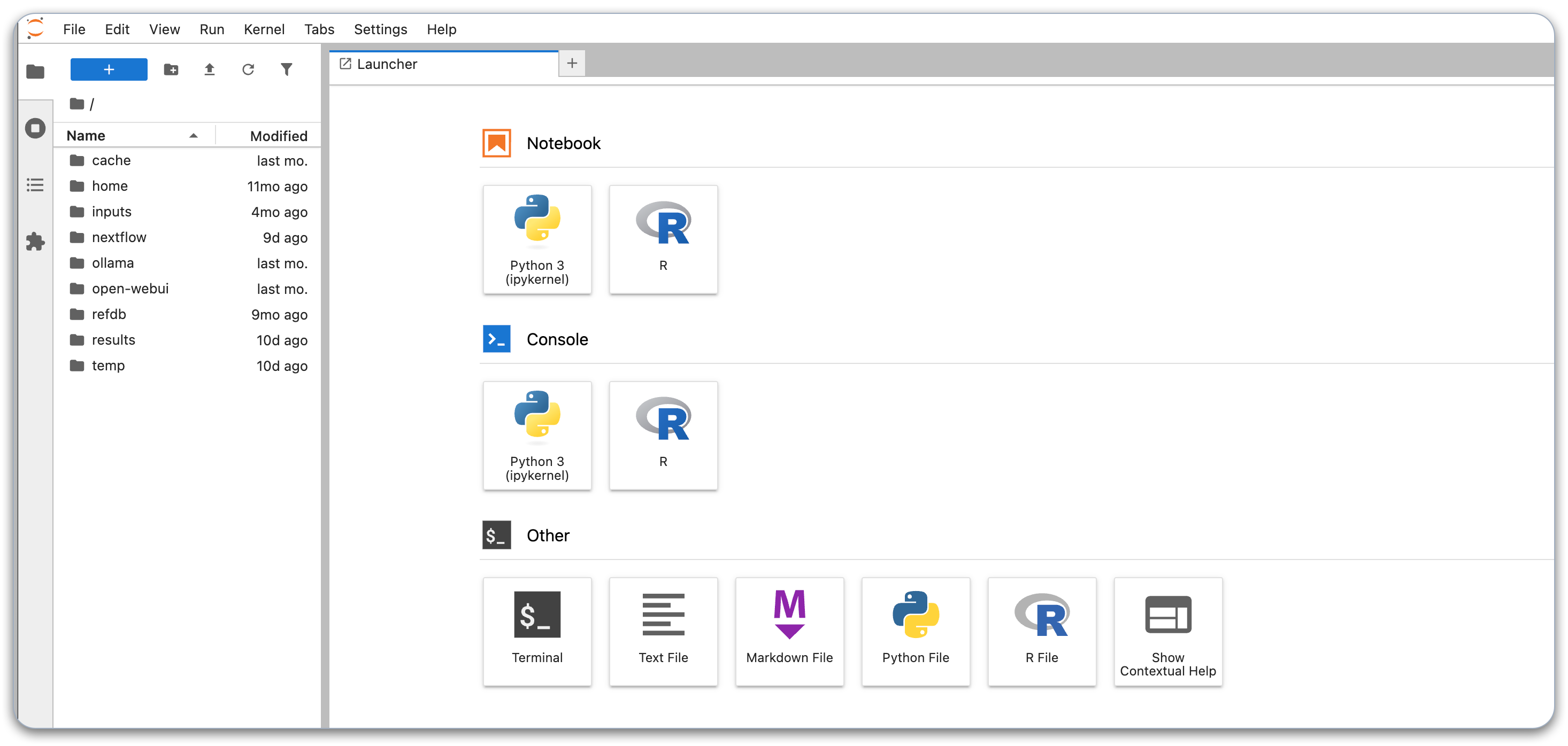 Jupyter Server UI in the browser