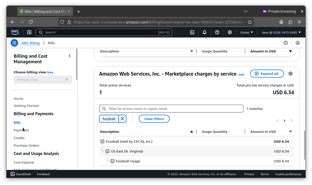AWS Bills filtered on Fuzzball