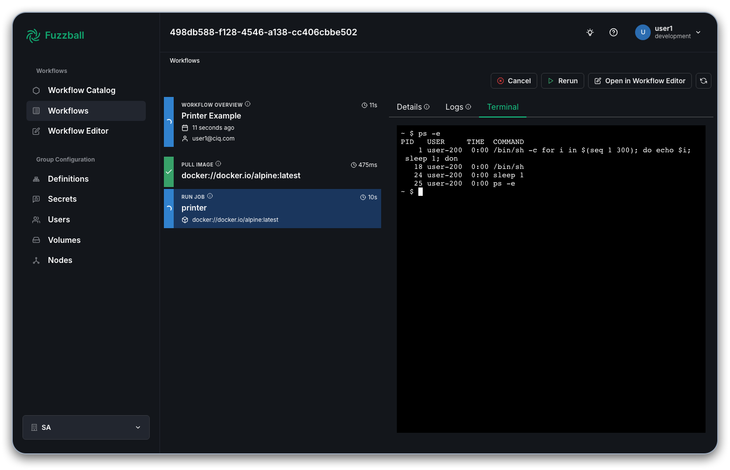 Fuzzball terminal in running job